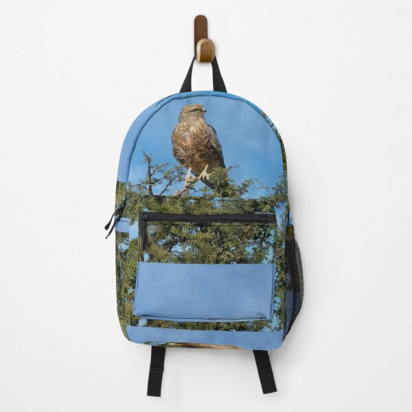 Item preview, A Greater Kestrel Searches for Dinner designed and sold by Kay Brewer.