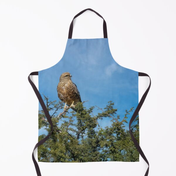 Item preview, A Greater Kestrel Searches for Dinner designed and sold by Kay Brewer.