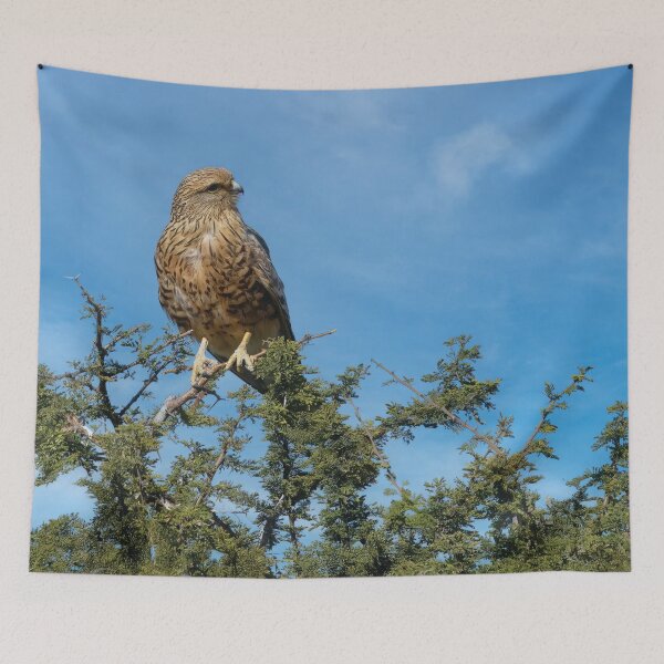 Item preview, A Greater Kestrel Searches for Dinner designed and sold by Kay Brewer.