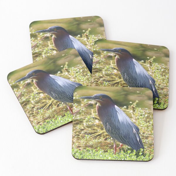 Item preview, Green heron standing in some floating plants  designed and sold by WolfRaven Creations.