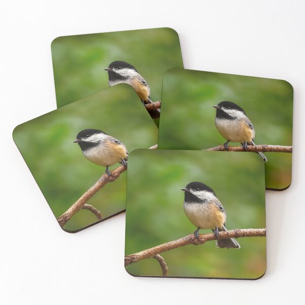 Item preview, Black-Capped Chickadee, Prince George BC – Songbird of the Northern Forests designed and sold by Fourpointstudio.