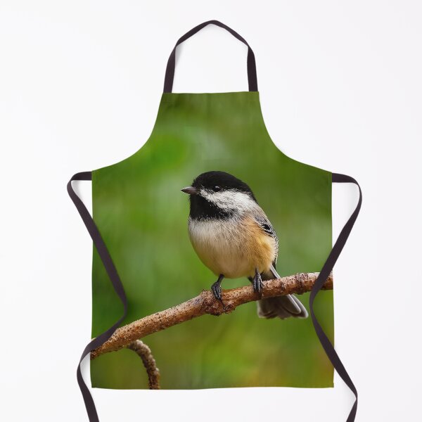 Item preview, Black-Capped Chickadee, Prince George BC – Songbird of the Northern Forests designed and sold by Fourpointstudio.