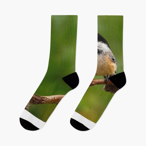 Item preview, Black-Capped Chickadee, Prince George BC – Songbird of the Northern Forests designed and sold by Fourpointstudio.