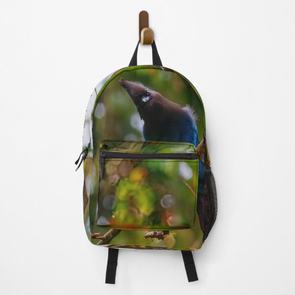 Item preview, Steller’s Jay, Port Hardy BC – Blue Jay of the Pacific Northwest Forest designed and sold by Fourpointstudio.