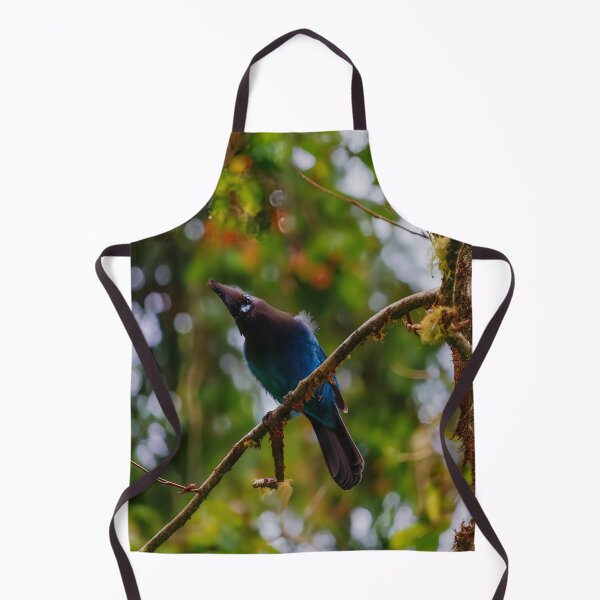 Item preview, Steller’s Jay, Port Hardy BC – Blue Jay of the Pacific Northwest Forest designed and sold by Fourpointstudio.