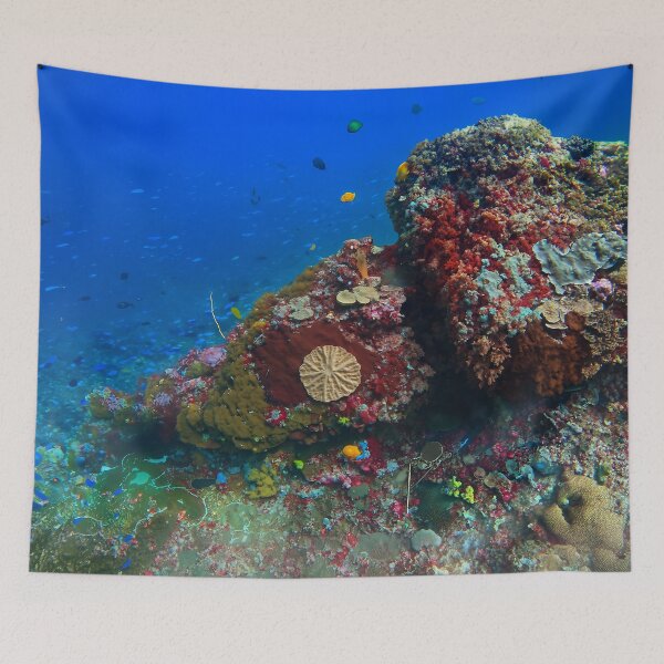 Item preview, Vibrant Coral Garden, Nusa Penida Indonesia designed and sold by Fourpointstudio.