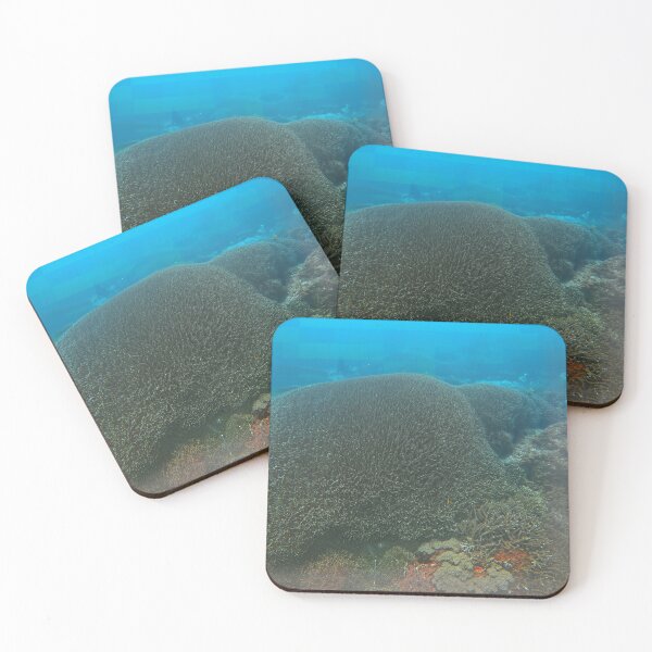 Item preview, Massive Coral Dome, Nusa Lembongan Indonesia designed and sold by Fourpointstudio.