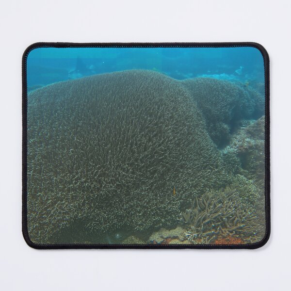 Item preview, Massive Coral Dome, Nusa Lembongan Indonesia designed and sold by Fourpointstudio.