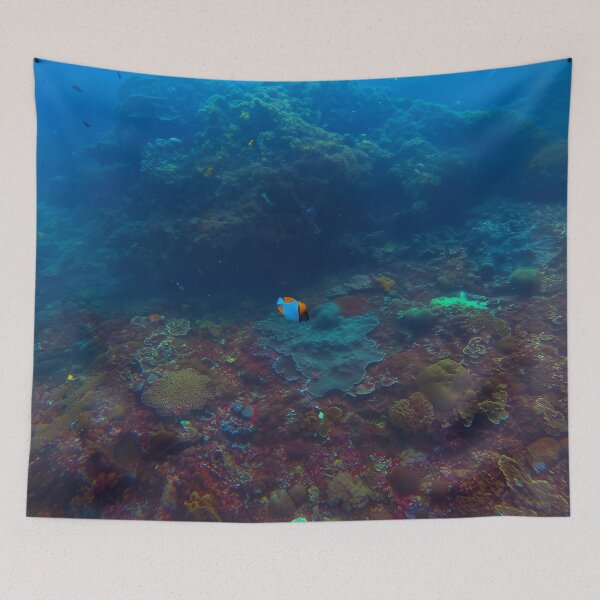 Item preview, Clownfish Over Coral Shelf, Nusa Penida Indonesia designed and sold by Fourpointstudio.