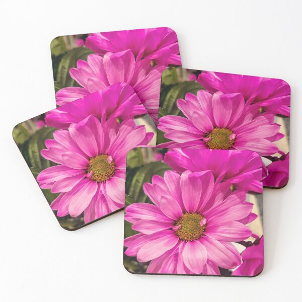 Item preview, Fuchsia zinnia  designed and sold by Majicmixx.
