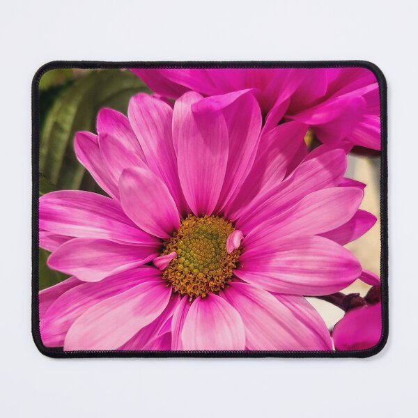Item preview, Fuchsia zinnia designed and sold by Majicmixx.