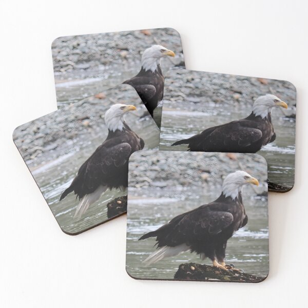 Item preview, Bald Eagle in Forest Light, Port Hardy BC designed and sold by Fourpointstudio.