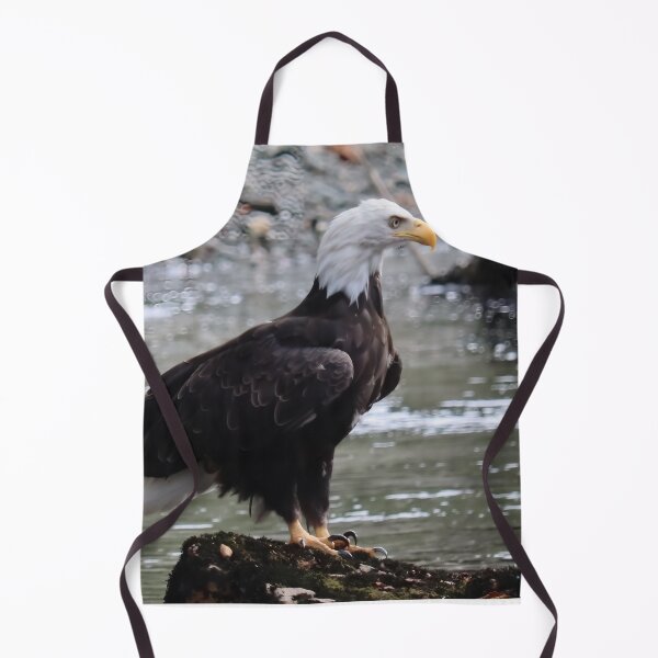 Item preview, Bald Eagle in Forest Light, Port Hardy BC designed and sold by Fourpointstudio.