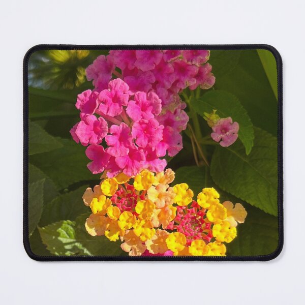 Item preview, Lantana designed and sold by Lana Magnolia.