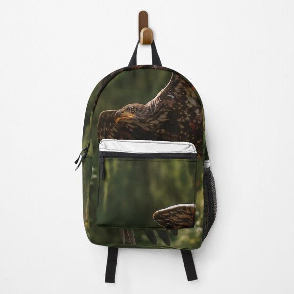 Item preview, Golden Eagle Soaring with Moss, Port Hardy BC designed and sold by Fourpointstudio.