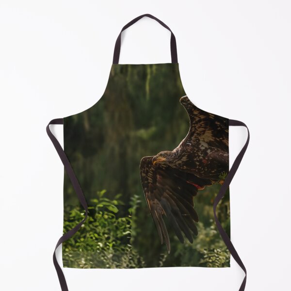 Item preview, Golden Eagle Soaring with Moss, Port Hardy BC designed and sold by Fourpointstudio.