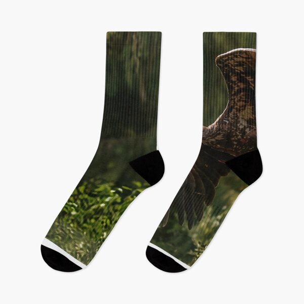 Item preview, Golden Eagle Soaring with Moss, Port Hardy BC designed and sold by Fourpointstudio.