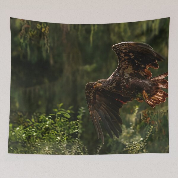 Item preview, Golden Eagle Soaring with Moss, Port Hardy BC designed and sold by Fourpointstudio.