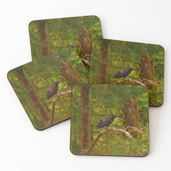 Item preview, Perched Golden Eagle, Northern Vancouver Island BC designed and sold by Fourpointstudio.