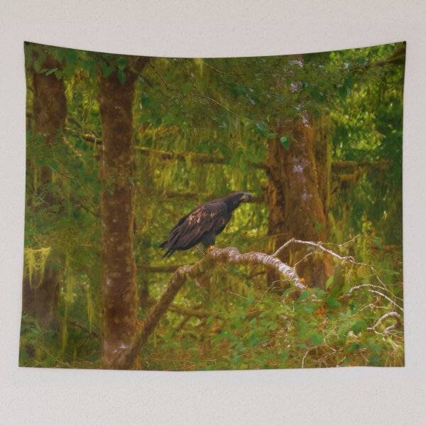 Item preview, Perched Golden Eagle, Northern Vancouver Island BC designed and sold by Fourpointstudio.