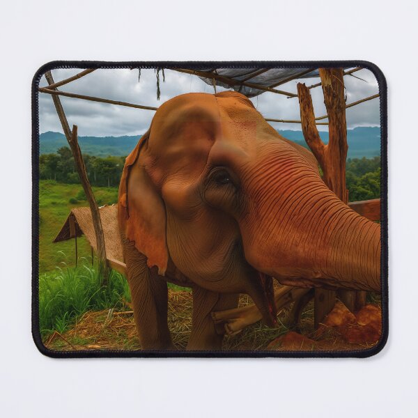Item preview, Gentle Giant — South Asian Elephant at a Thailand Homestay designed and sold by Fourpointstudio.