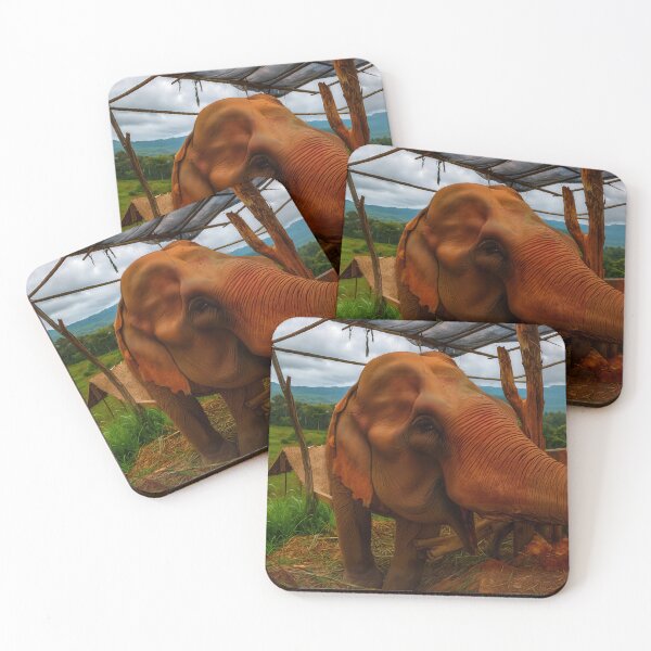 Item preview, Gentle Giant — South Asian Elephant at a Thailand Homestay designed and sold by Fourpointstudio.