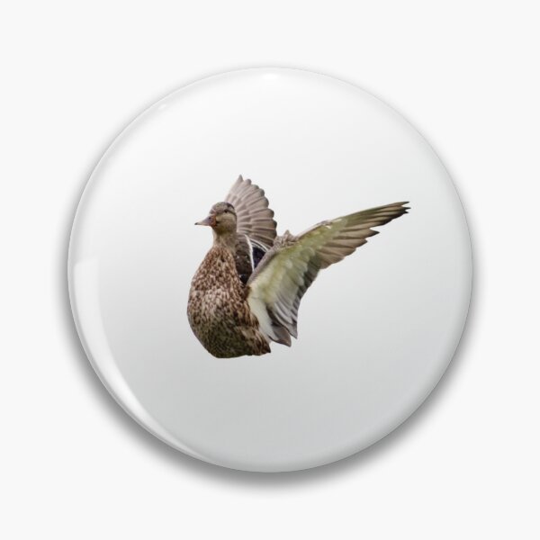 Item preview, Mallard stretching her wings designed and sold by FederalFeathers.