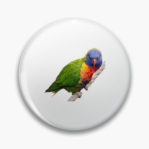Item preview, Rainbow lorikeet stare down  designed and sold by FederalFeathers.