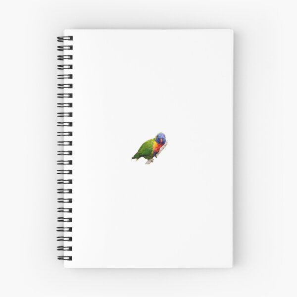 Item preview, Rainbow lorikeet stare down  designed and sold by FederalFeathers.