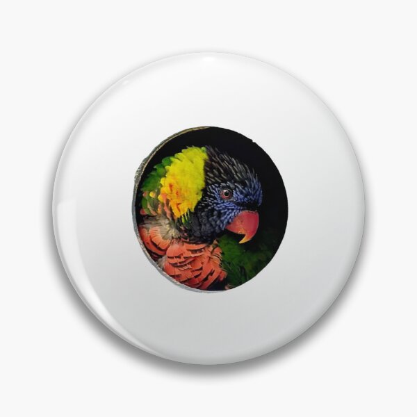 Item preview, Rainbow lorikeet hiding in a hole designed and sold by FederalFeathers.