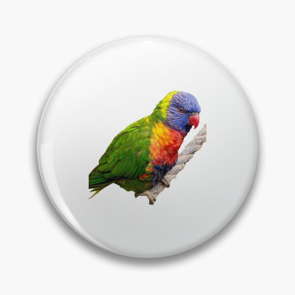 Item preview, Rainbow lorikeet hanging on a rope designed and sold by FederalFeathers.