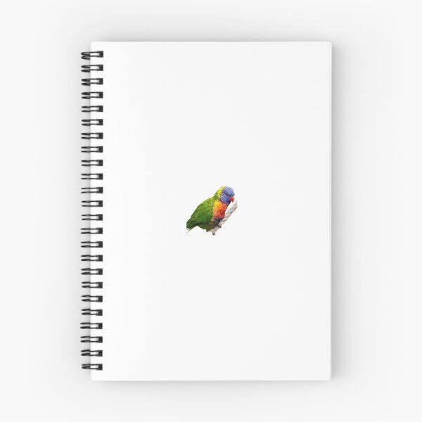 Item preview, Rainbow lorikeet hanging on a rope designed and sold by FederalFeathers.