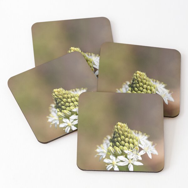 Item preview, Elegant Agapanthus Buds White Flowers designed and sold by Joy Watson - Natural Light Photography .