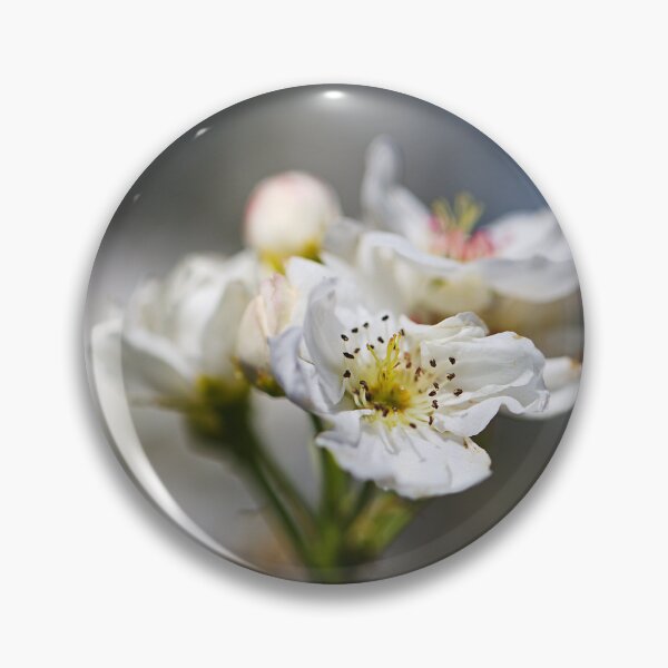Item preview, Delicate White Blossoms in Beautiful Focus designed and sold by Joy Watson - Natural Light Photography .
