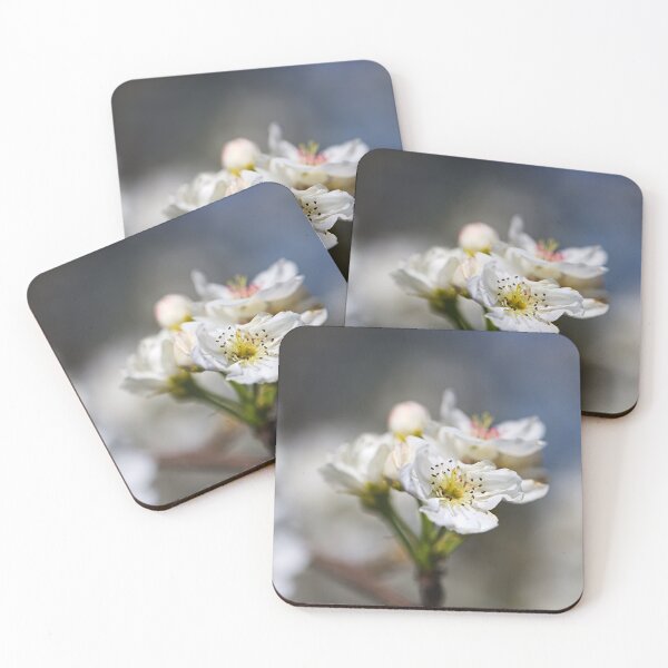 Item preview, Delicate White Blossoms in Beautiful Focus designed and sold by Joy Watson - Natural Light Photography .