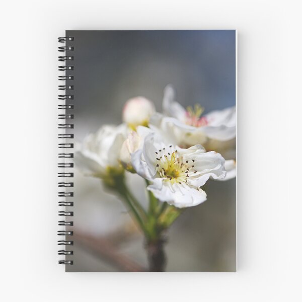 Item preview, Delicate White Blossoms in Beautiful Focus designed and sold by Joy Watson - Natural Light Photography .