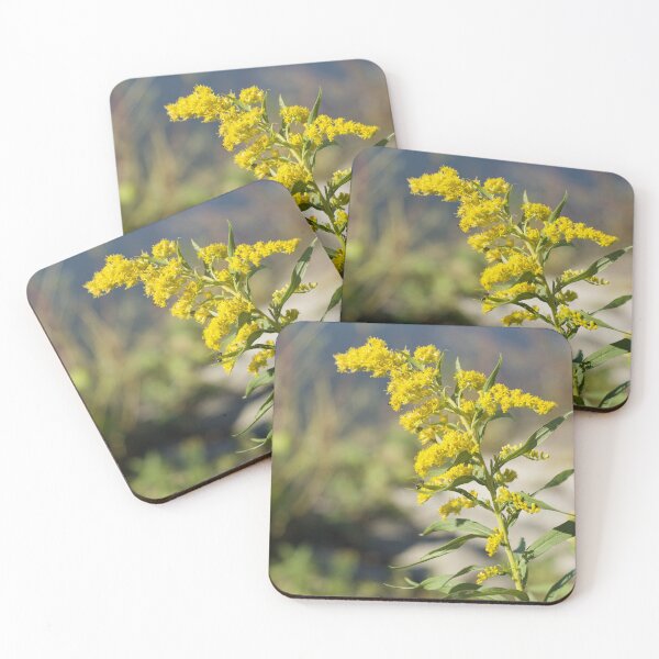 Item preview, Canada Goldenrod at Silver Lake designed and sold by anashiking.