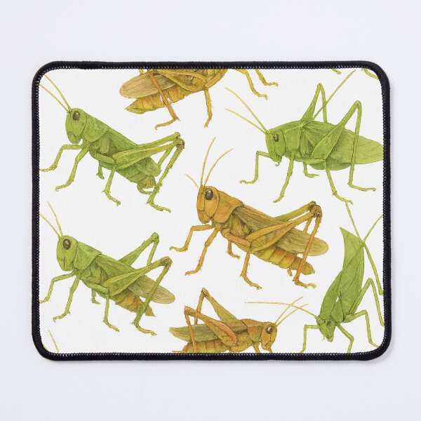 Item preview, Grasshopper Set | Cute Insect Design | Whimsical Garden Creature Artwork | Playful Nature Graphic designed and sold by PaintedPixels01.