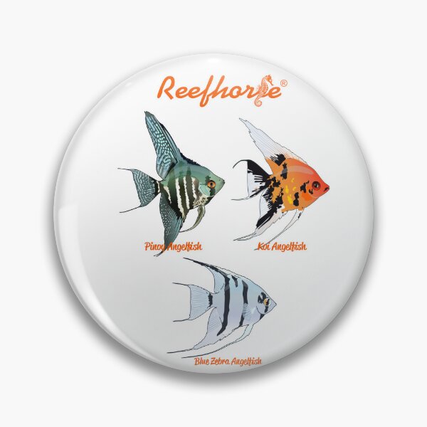 Item preview, Angelfish Trio designed and sold by KaplanCrypto.