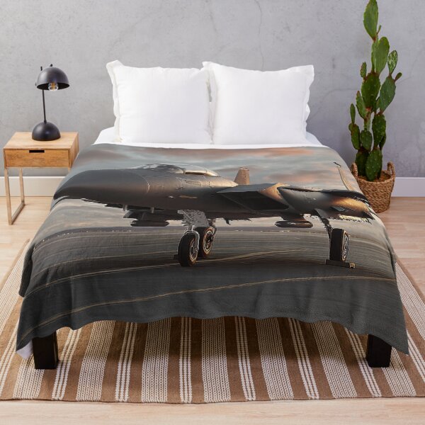 Item preview, Boeings Modern Fighter designed and sold by Skyframe Aviation.