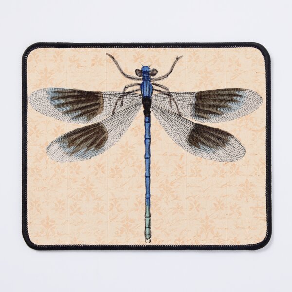 Item preview, Ebony Jewelwing Damselfly Illustration | Vintage Entomological Print designed and sold by Folio and Field: Archival Art for Modern Living.