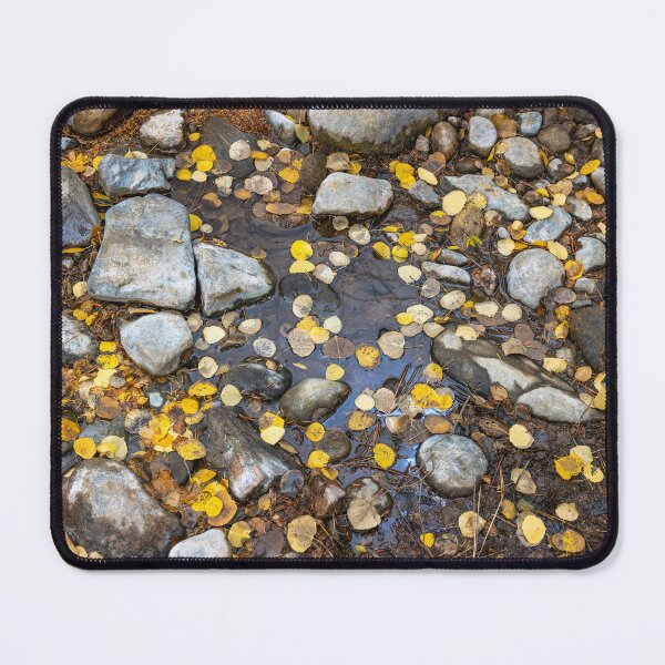 Item preview, Autumn Leaves on Guanella Pass Rocks designed and sold by Jarrett720.