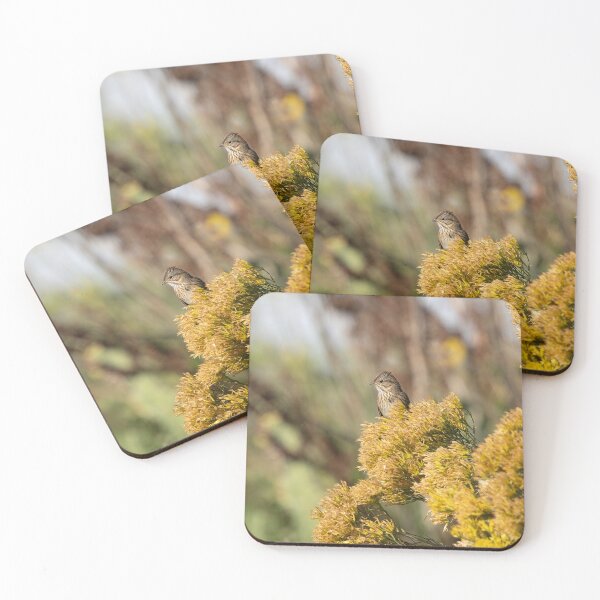 Item preview, Sparrow Perched on Golden Desert Bush designed and sold by Jarrett720.