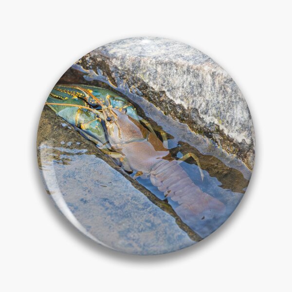 Item preview, Crawfish Nestled in Rocky Streambed designed and sold by Jarrett720.