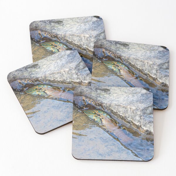 Item preview, Crawfish Nestled in Rocky Streambed designed and sold by Jarrett720.