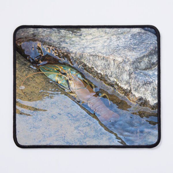 Item preview, Crawfish Nestled in Rocky Streambed designed and sold by Jarrett720.