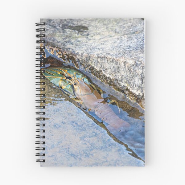 Item preview, Crawfish Nestled in Rocky Streambed designed and sold by Jarrett720.