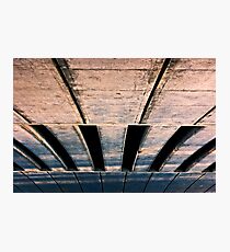 Span! Photographic Print
