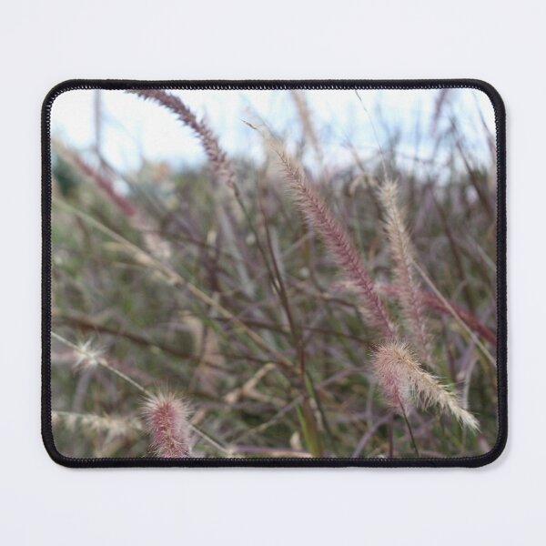 Item preview, African Fountain Grass by photographer  designed and sold by IdeaND.