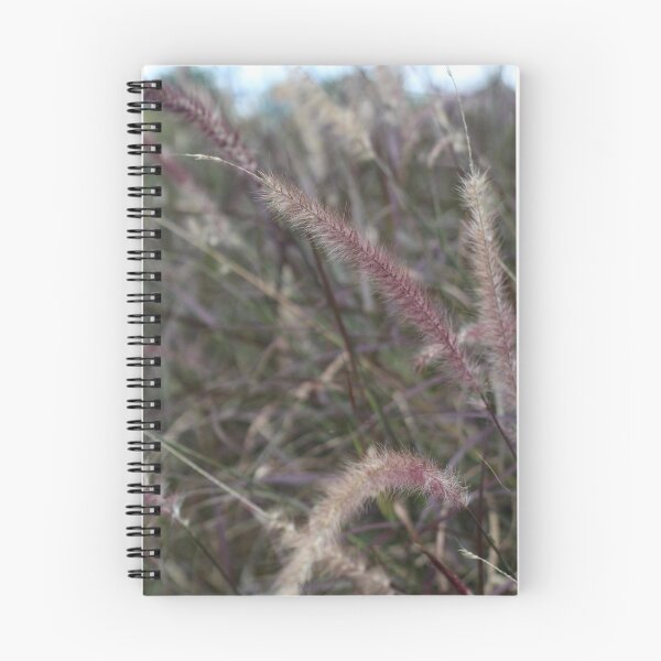 Item preview, African Fountain Grass by photographer  designed and sold by IdeaND.